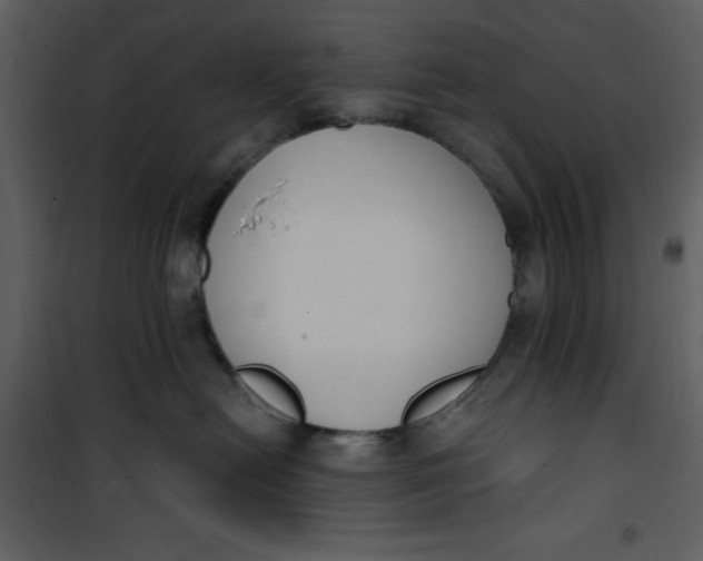 X0000101230478200807181607