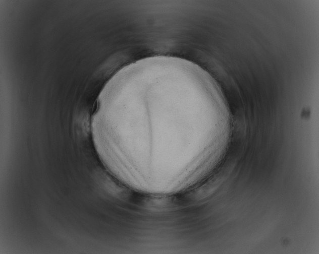 X0000101230479200807181607