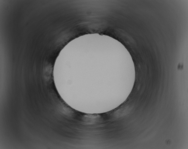 X0000101230480200807181607