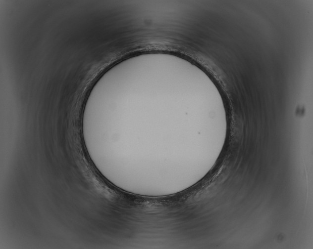 X0000101230481200807181606