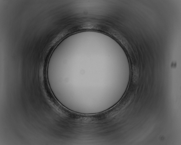 X0000101230482200807181606