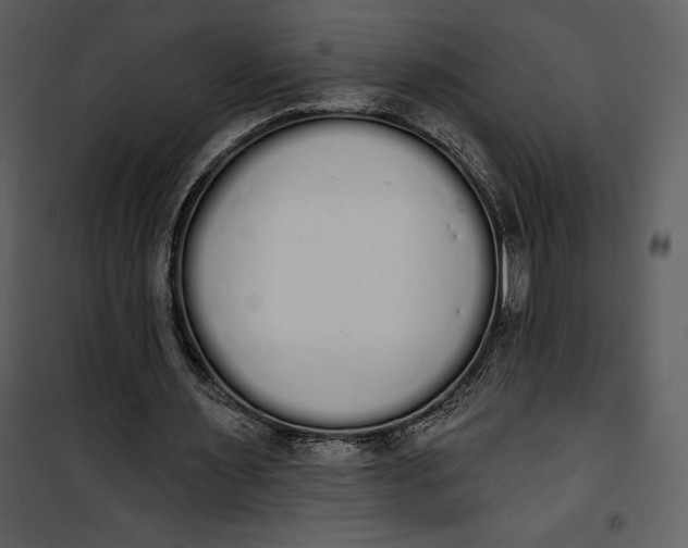 X0000101230483200807181606