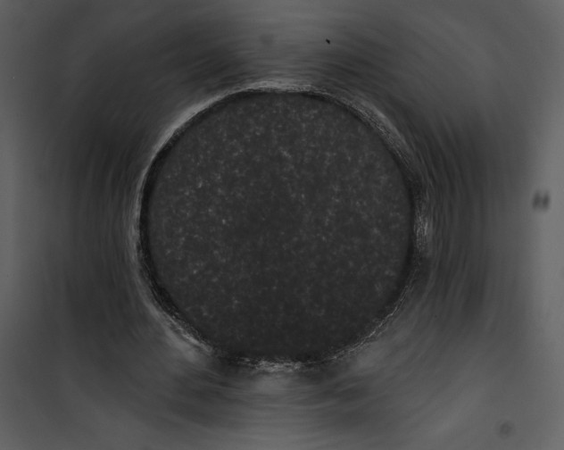 X0000101230484200807181606