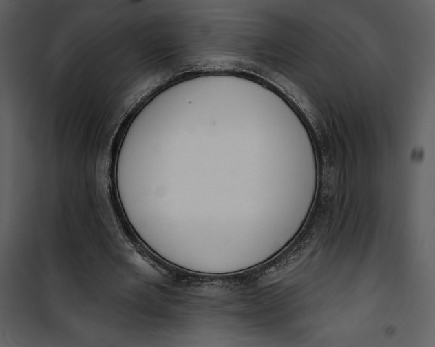 X0000101230485200807181606