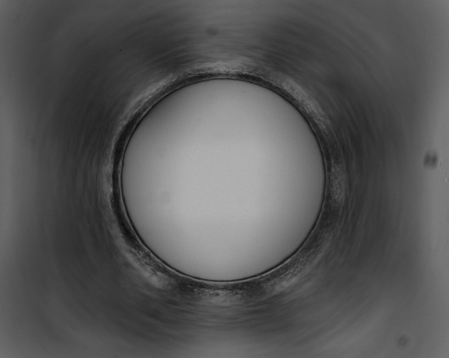 X0000101230486200807181606