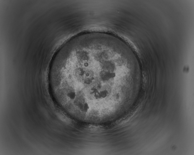 X0000101230487200807181606