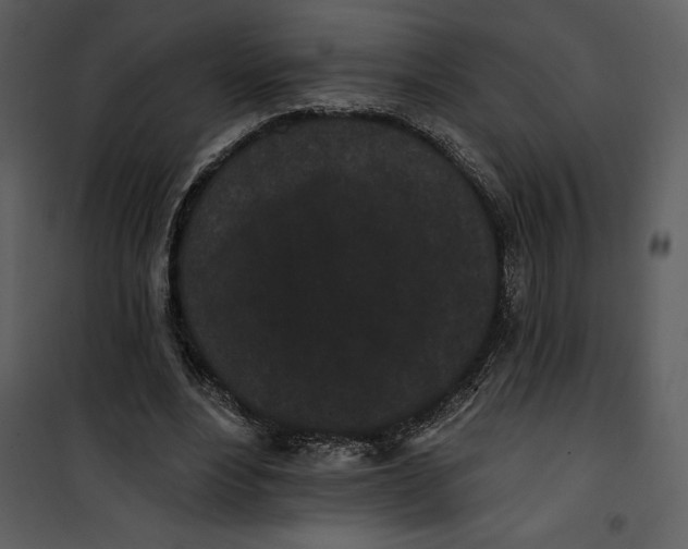 X0000101230488200807181606