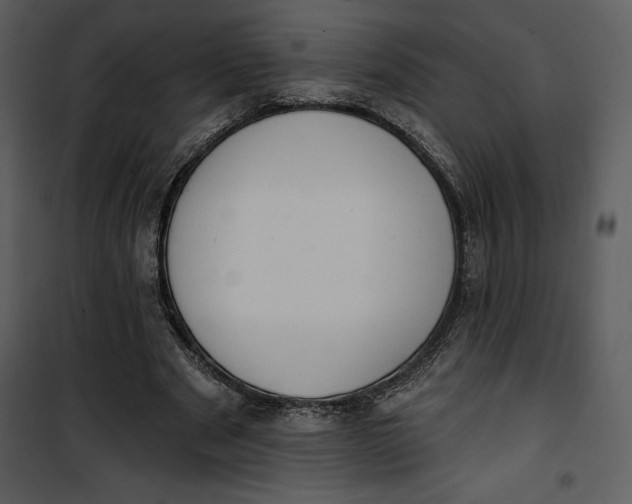 X0000101230489200807181606