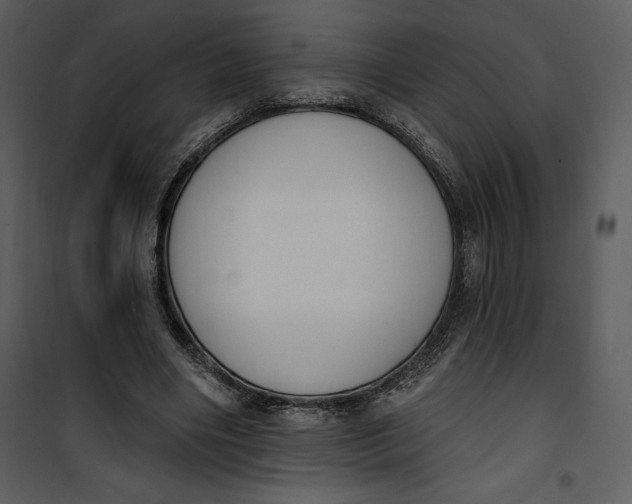 X0000101230490200807181606