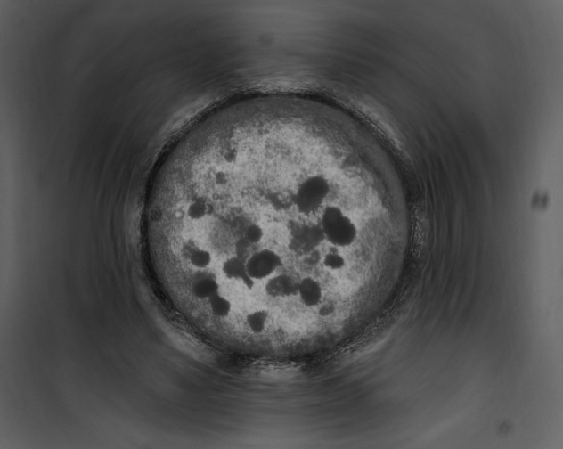 X0000101230491200807181606