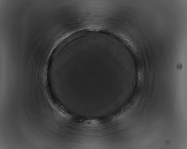 X0000101230492200807181606