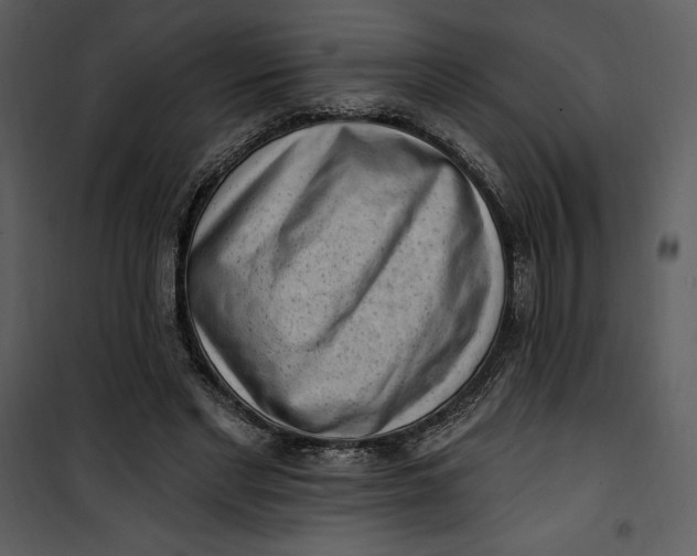 X0000101230493200807181606