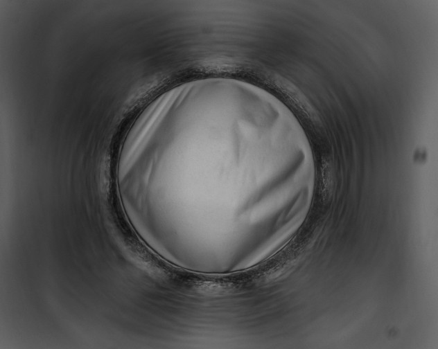 X0000101230494200807181606