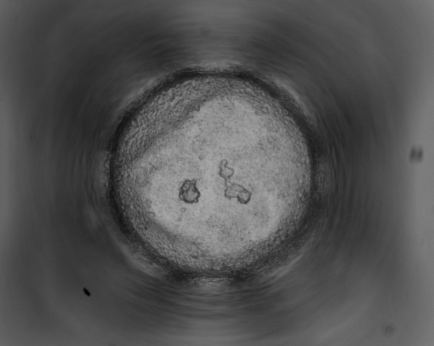 X0000101230495200807181606