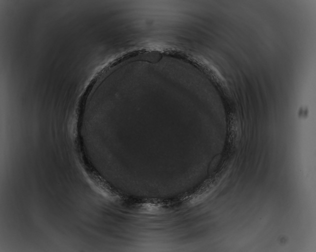 X0000101230496200807181606