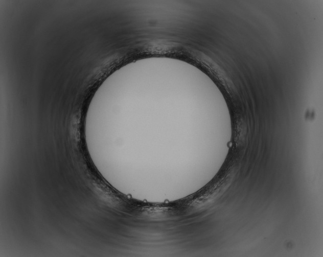 X0000101230497200807181606