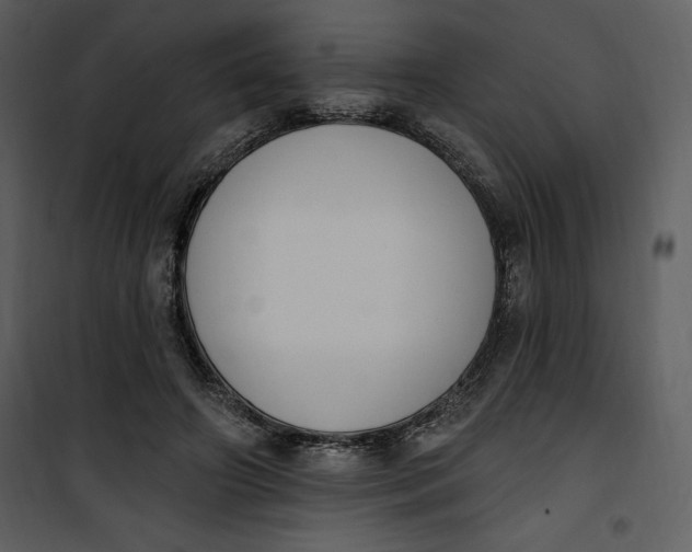 X0000101230498200807181606