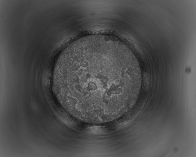 X0000101230499200807181606