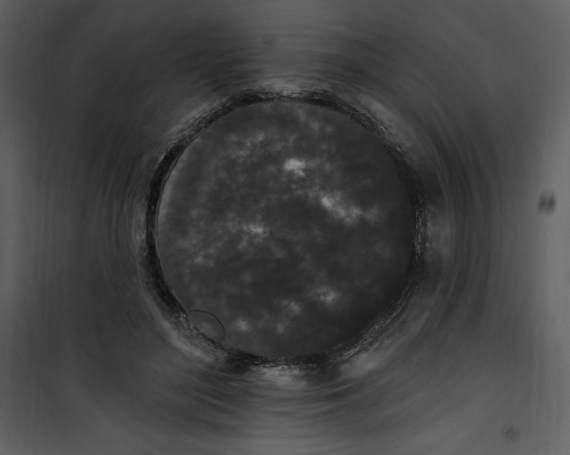 X0000101230500200807181606