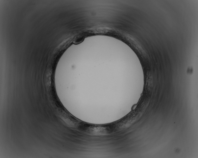 X0000101230501200807181606