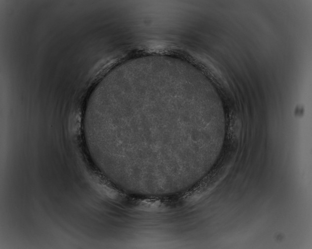 X0000101230502200807181606