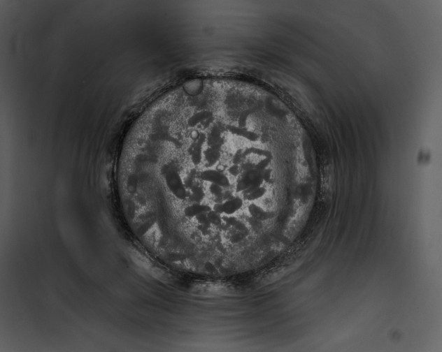 X0000101230503200807181606