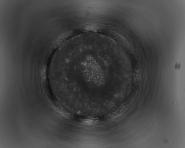 X0000101230504200807181606