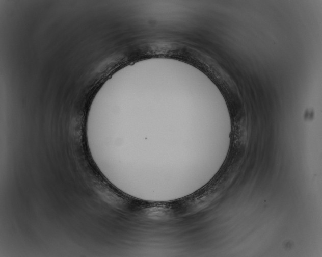 X0000101230505200807181606