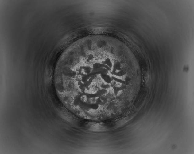 X0000101230507200807181606