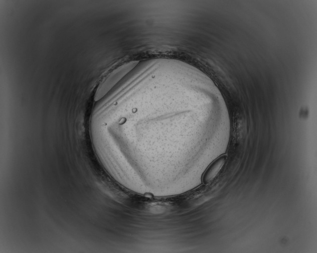 X0000101230508200807181606