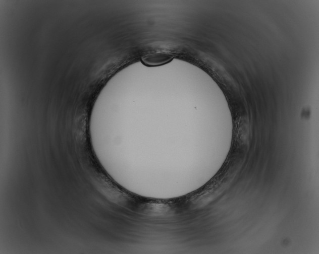 X0000101230509200807181606