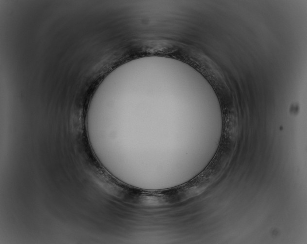 X0000101230510200807181606