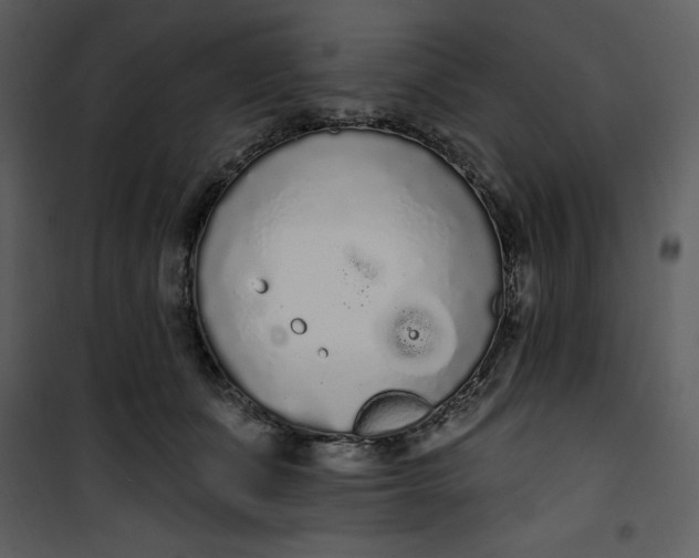 X0000101230511200807181606