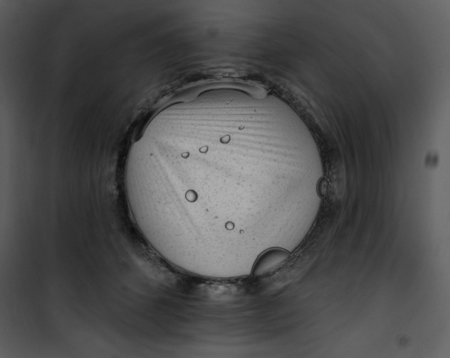 X0000101230512200807181606