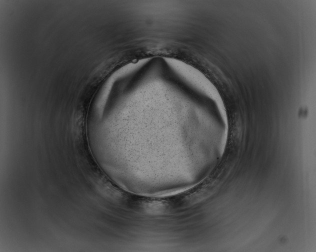 X0000101230513200807181606