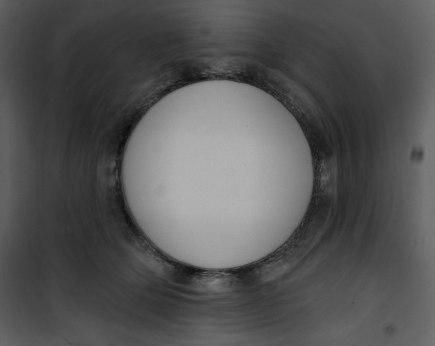 X0000101230514200807181606