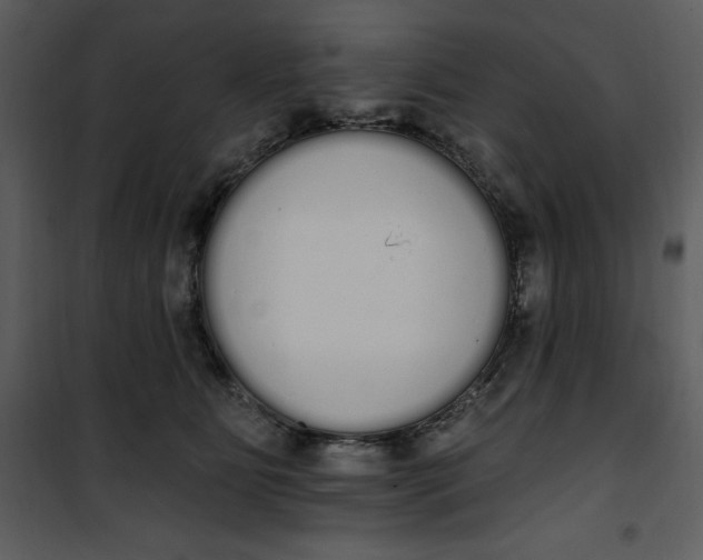 X0000101230515200807181606