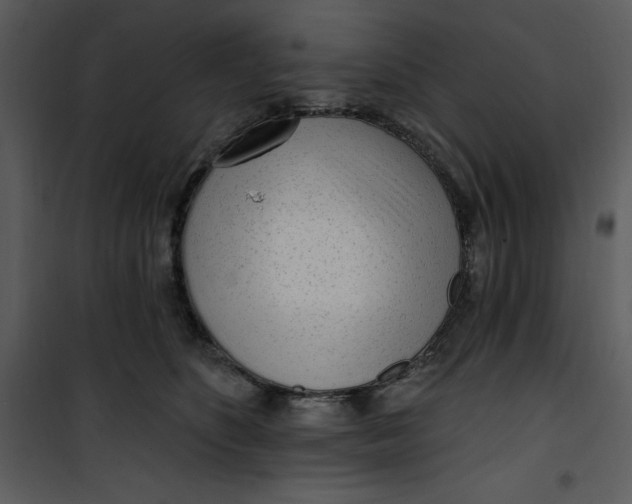 X0000101230516200807181606