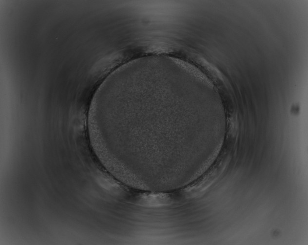 X0000101230517200807181606