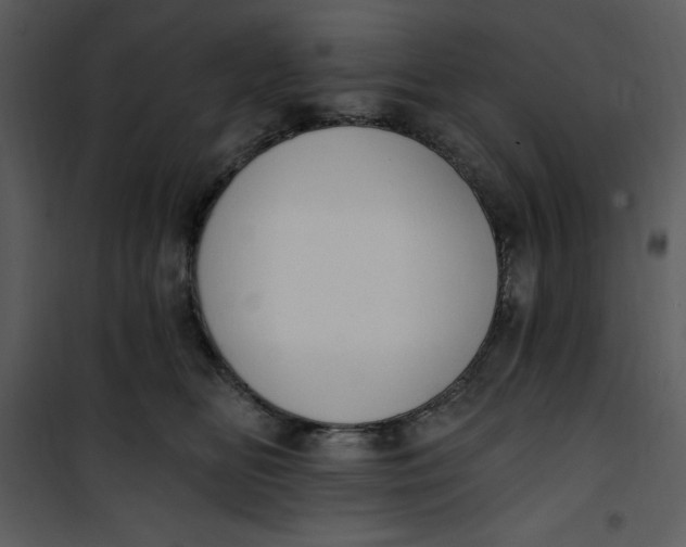 X0000101230518200807181606