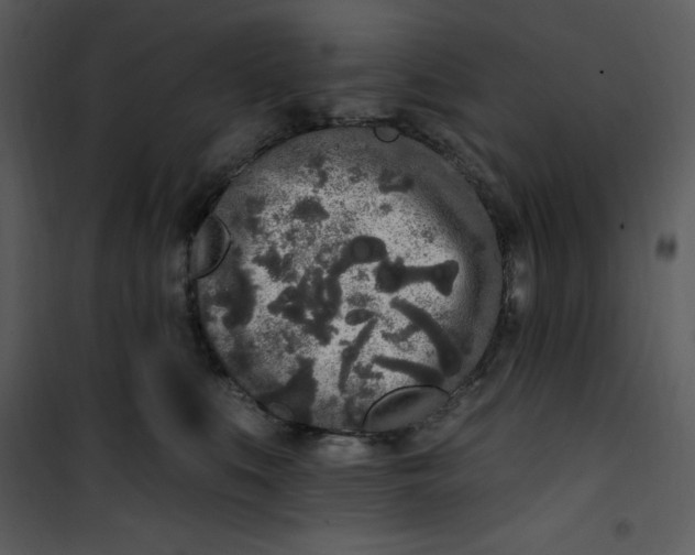 X0000101230519200807181606