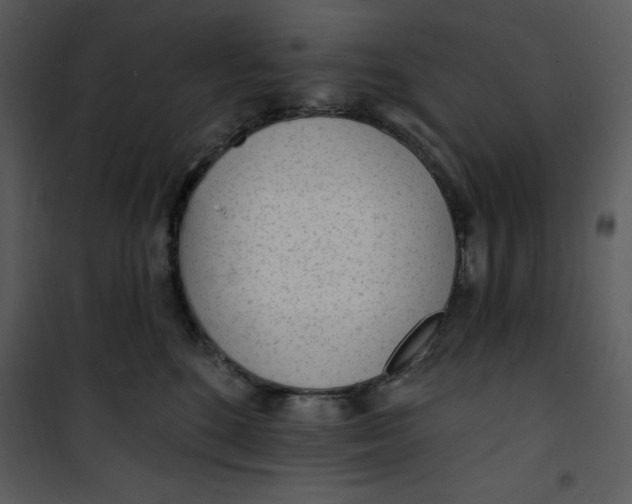 X0000101230520200807181606