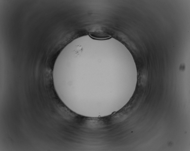 X0000101230521200807181606