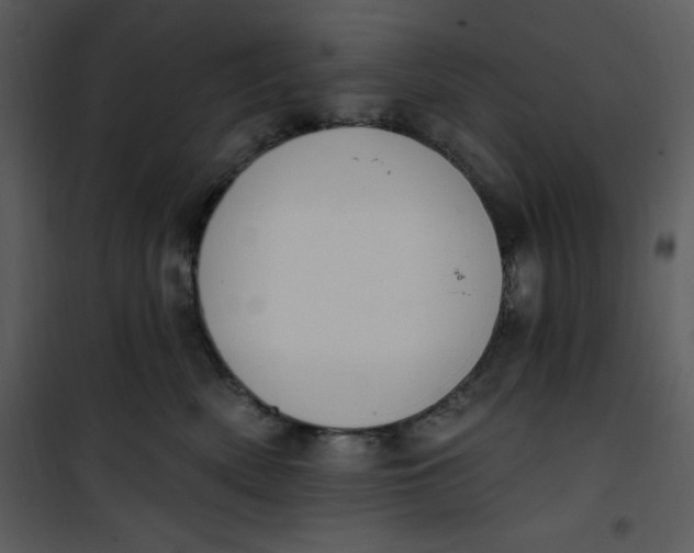 X0000101230522200807181606