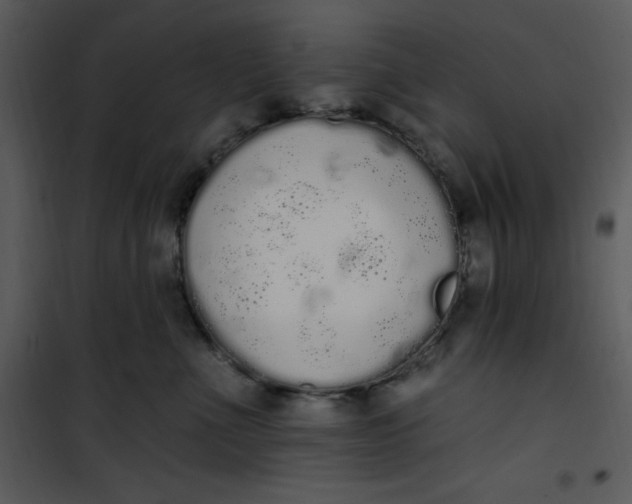 X0000101230523200807181606