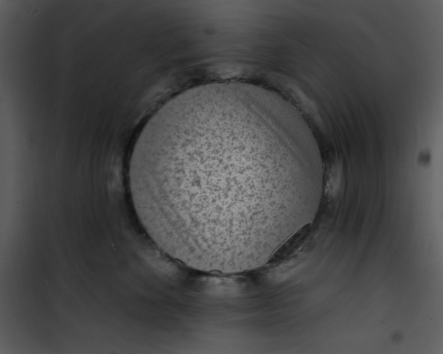 X0000101230524200807181606