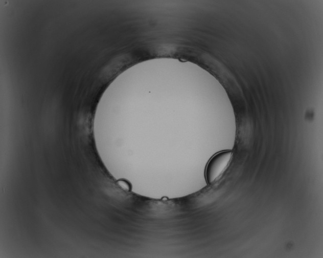 X0000101230525200807181606