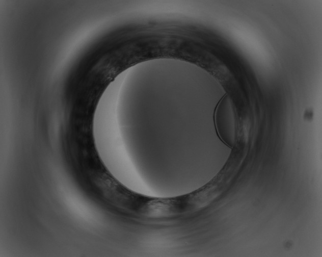 X0000101230526200807181606