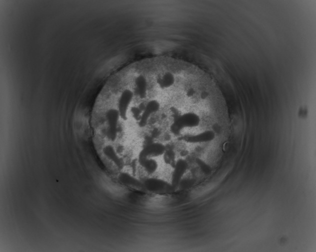 X0000101230527200807181606