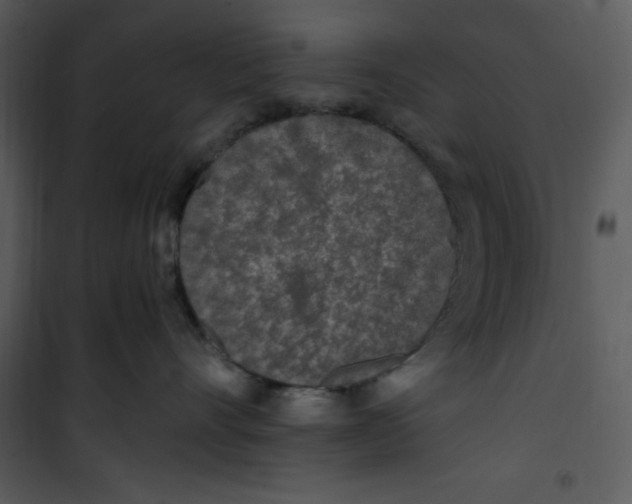 X0000101230528200807181606